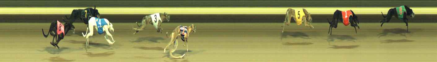 Photo finish for Warragul Race 9