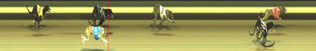 Photo finish for Warragul Race 11