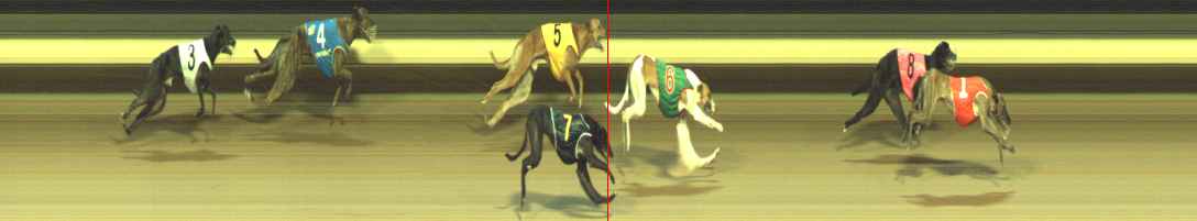 Photo finish for Warragul Race 12