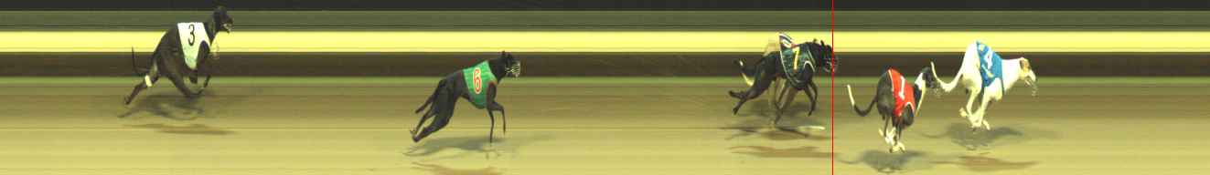 Photo finish for Warragul Race 1