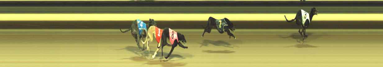 Photo finish for Warragul Race 2