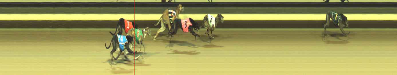 Photo finish for Warragul Race 5