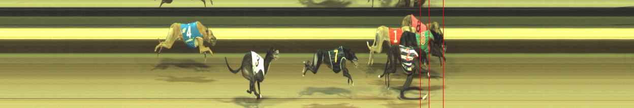 Photo finish for Warragul Race 7