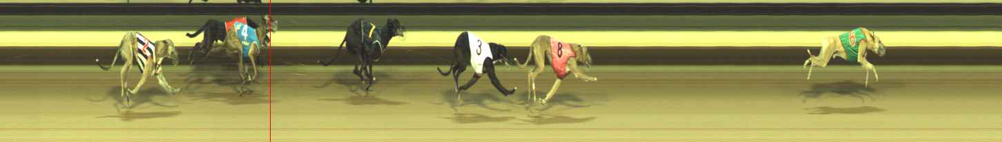Photo finish for Warragul Race 8
