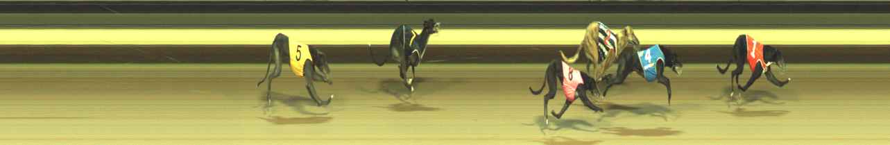 Photo finish for Warragul Race 9