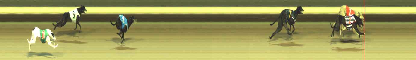 Photo finish for Warragul Race 10