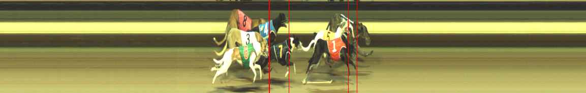 Photo finish for Warragul Race 11