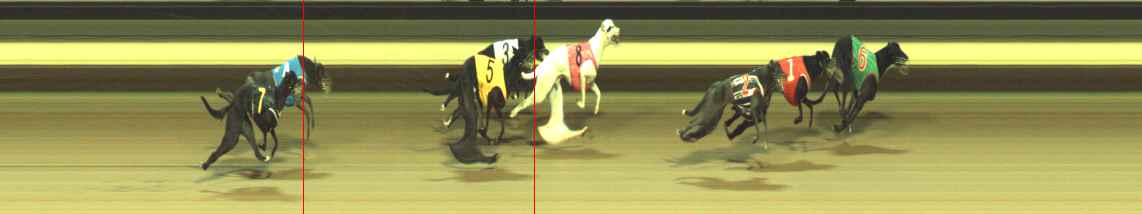 Photo finish for Warragul Race 12