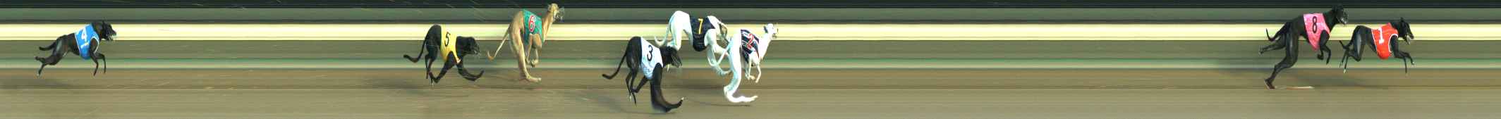 Photo finish for Warragul Race 1