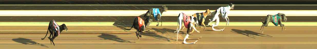 Photo finish for Warragul Race 3