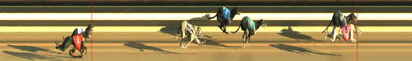 Photo finish for Warragul Race 4