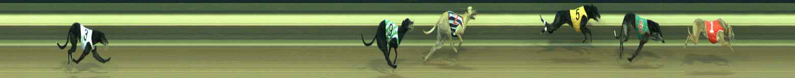 Photo finish for Warragul Race 7