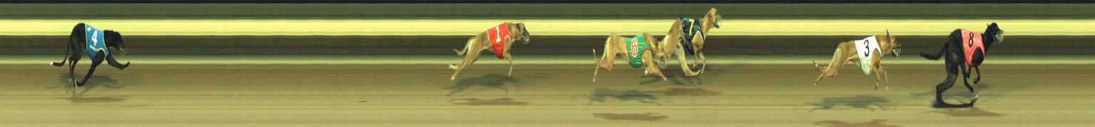 Photo finish for Warragul Race 8