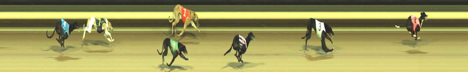 Photo finish for Warragul Race 9