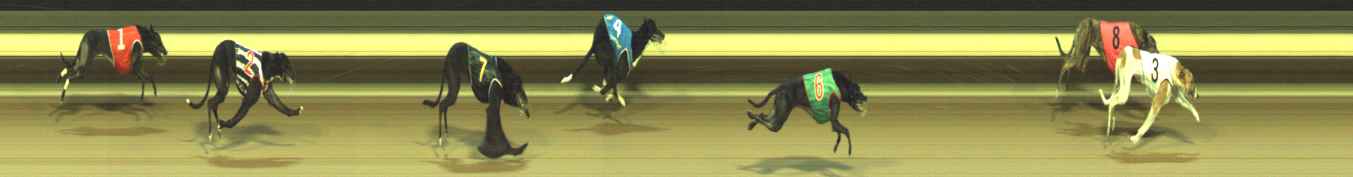 Photo finish for Warragul Race 11