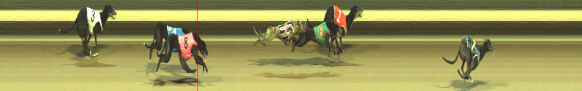Photo finish for Warragul Race 12