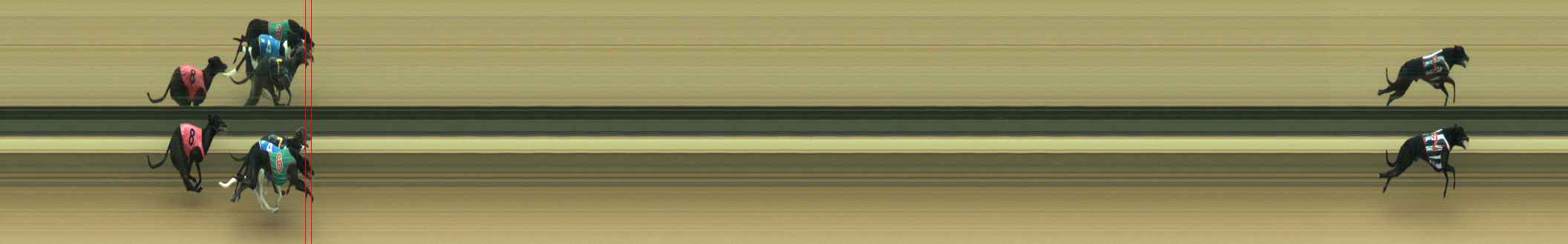 Photo finish for Warragul Race 1