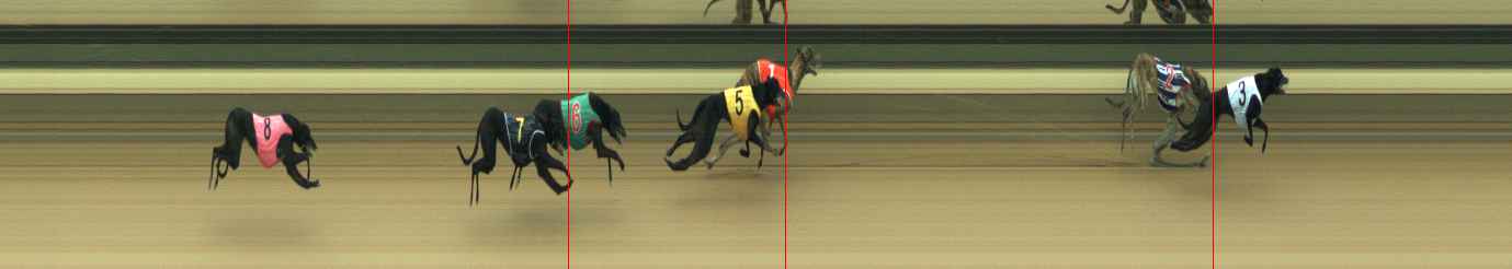 Photo finish for Warragul Race 2