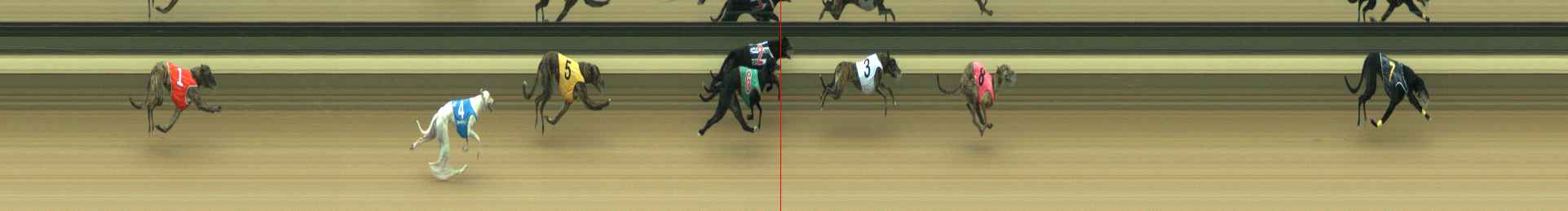 Photo finish for Warragul Race 3
