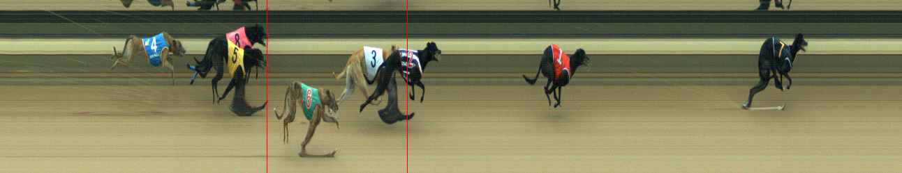 Photo finish for Warragul Race 4