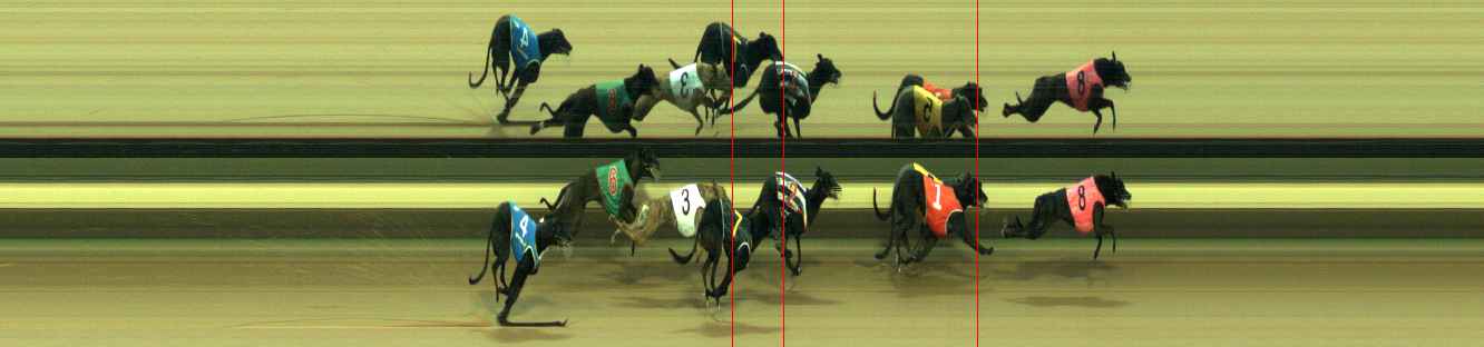 Photo finish for Warragul Race 5