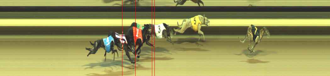 Photo finish for Warragul Race 8