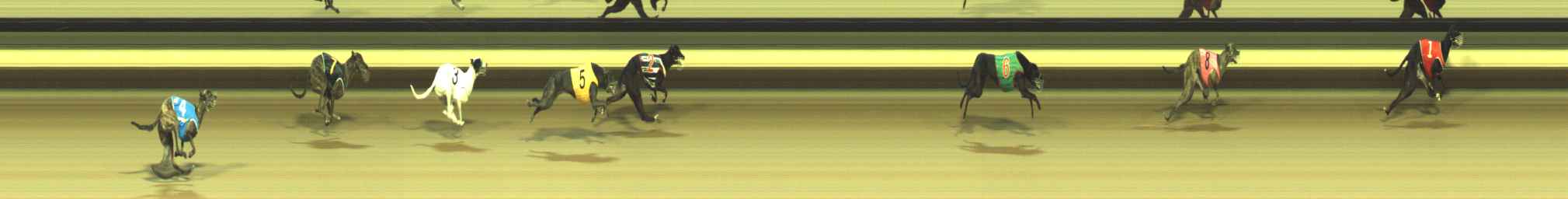 Photo finish for Warragul Race 9