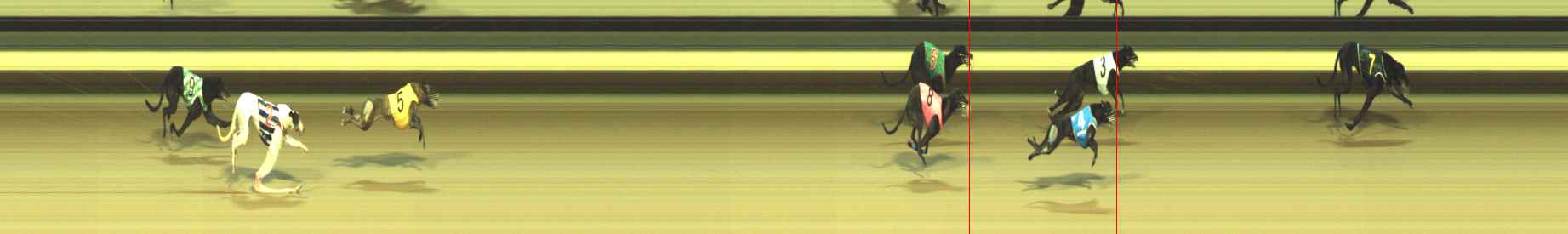 Photo finish for Warragul Race 10