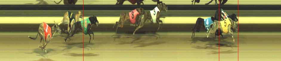 Photo finish for Warragul Race 11