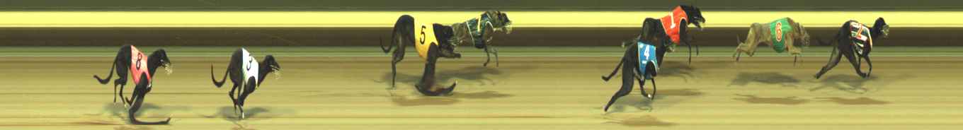 Photo finish for Warragul Race 1