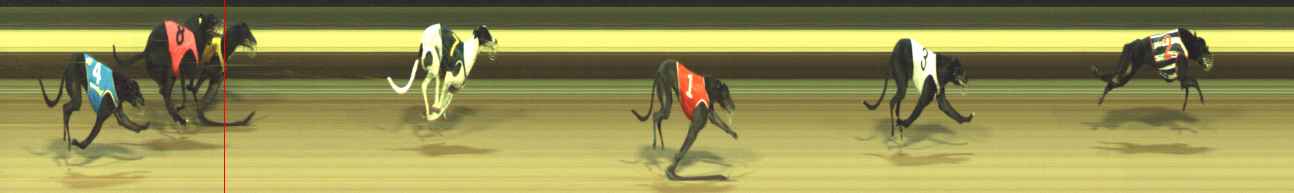 Photo finish for Warragul Race 2