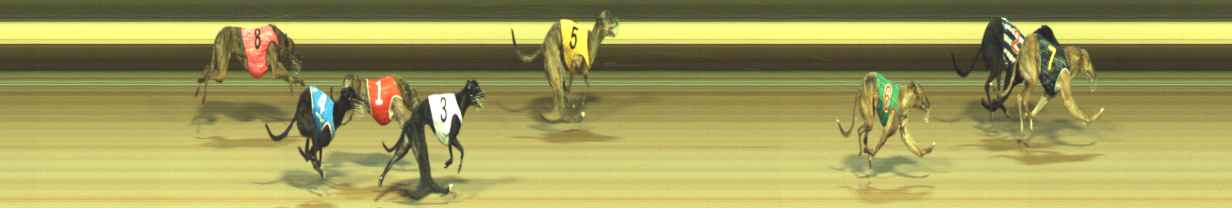 Photo finish for Warragul Race 3