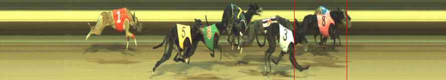 Photo finish for Warragul Race 5
