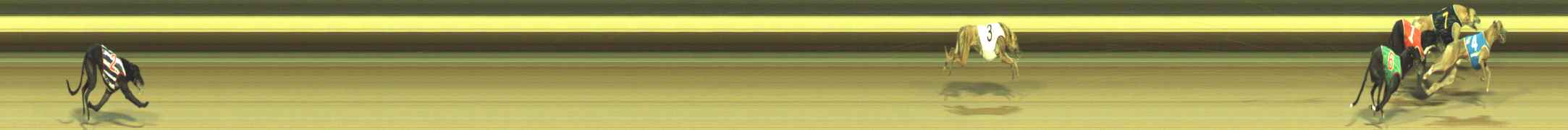 Photo finish for Warragul Race 6