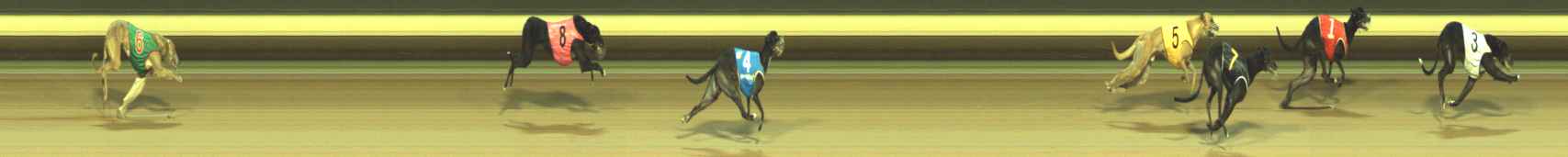 Photo finish for Warragul Race 7