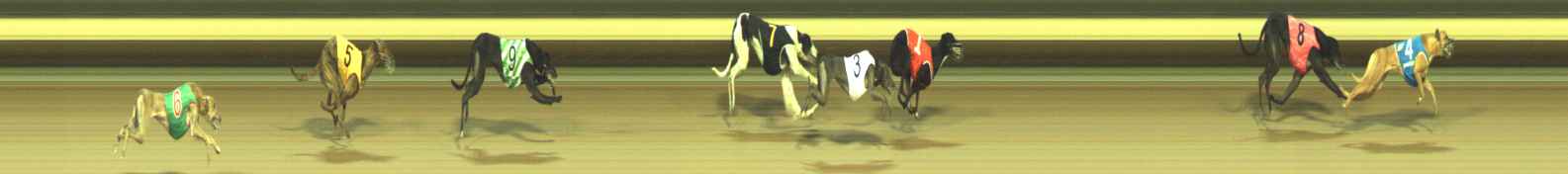 Photo finish for Warragul Race 9