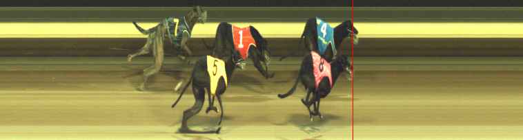 Photo finish for Warragul Race 10