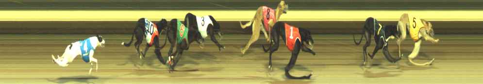Photo finish for Warragul Race 11