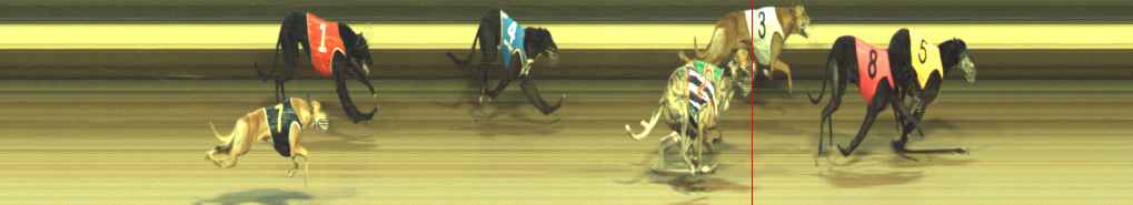Photo finish for Warragul Race 12