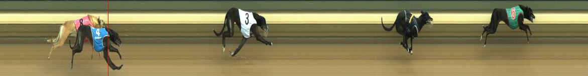 Photo finish for Warragul Race 1