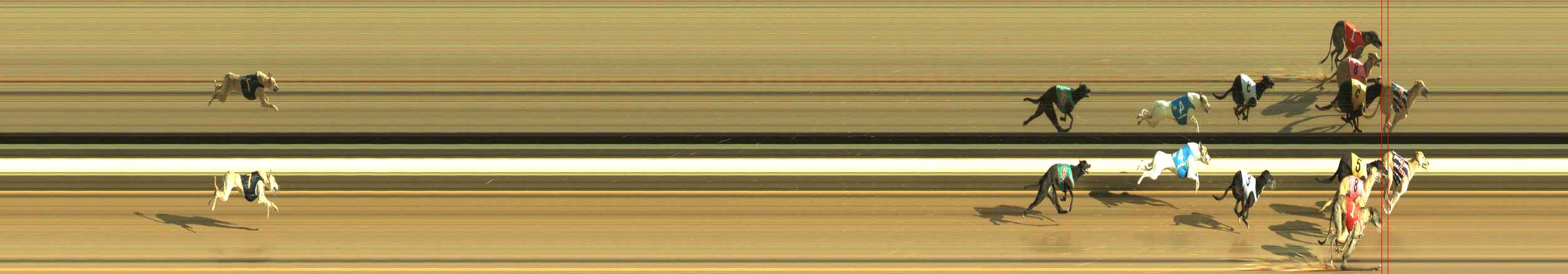 Photo finish for Warragul Race 3