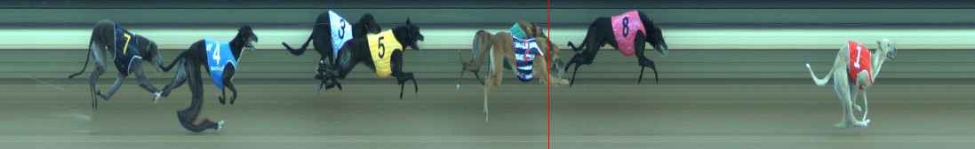 Photo finish for Warragul Race 5