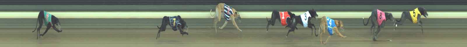 Photo finish for Warragul Race 6