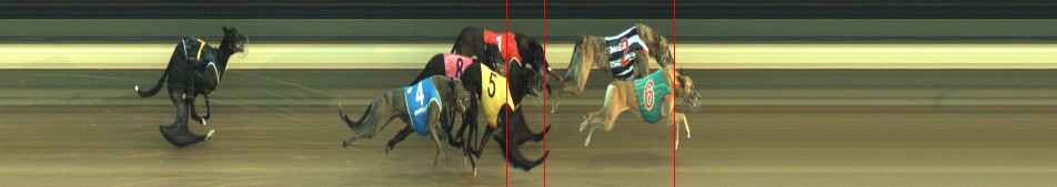 Photo finish for Warragul Race 7