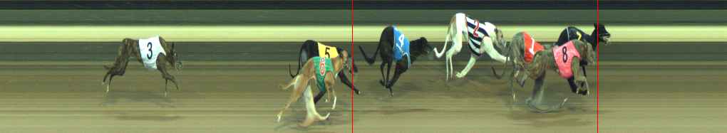 Photo finish for Warragul Race 8
