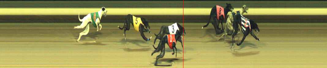 Photo finish for Warragul Race 10