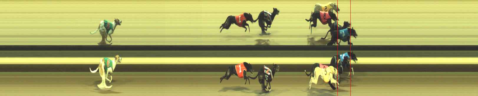 Photo finish for Warragul Race 12
