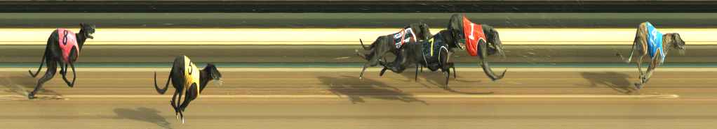 Photo finish for Warragul Race 1