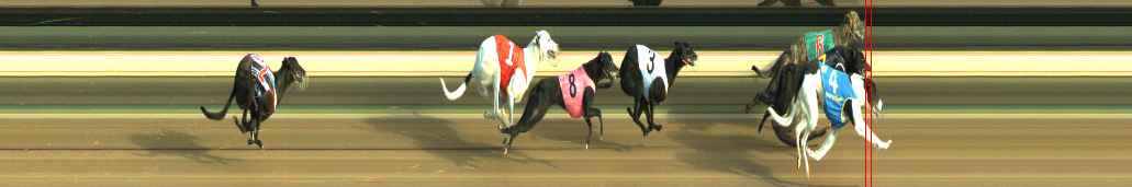 Photo finish for Warragul Race 2