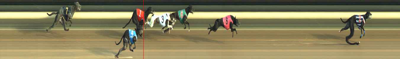 Photo finish for Warragul Race 3